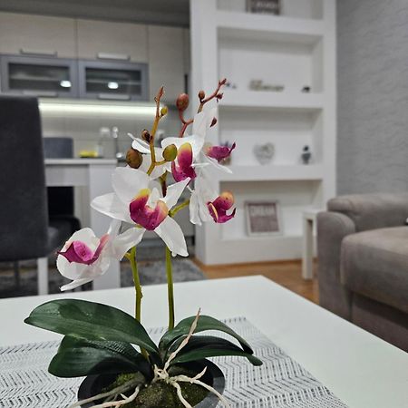 Apartman Vukota Pirot Exteriér fotografie